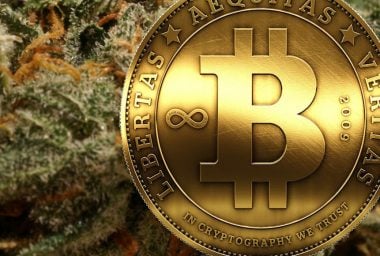 Cannabis Startups Need Bitcoin
