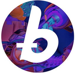 Bitcoin.com_Bitfilm Festival 2015
