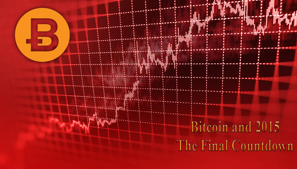 Bitcoin and 2024: The Final Countdown