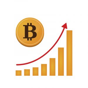 Bitcoin.com Bitcoin portfolio Profits