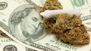 02212014_Marijuana_Money