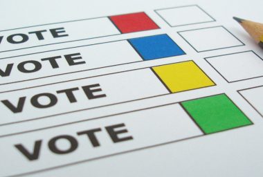 Voting Bitcoin: Can Traditional Democracy Fix the Block Size?