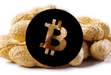 Recurring Payments Button for Bitcoin 'Peanuts' Unveiled