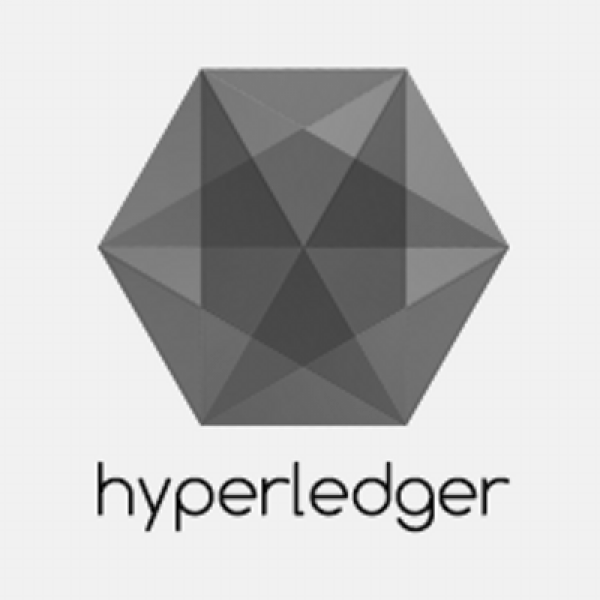 Svg assets. Hyperledger. Hyperledger Fabric logo. Hyperledger Burrow. Hyperledger Development services.