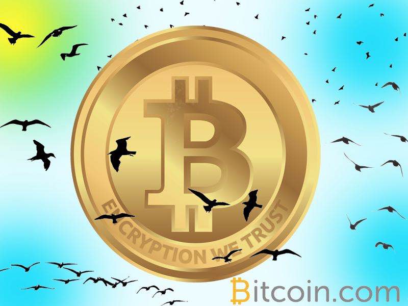 bitcoin birds comerț btc la usd