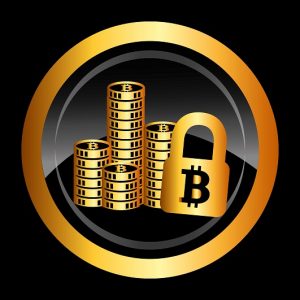 Bitcoin.com_Startup Venture Capital Indie.vc Bitcoin