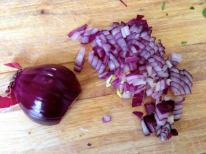 tor onion