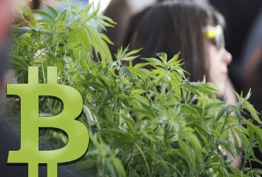 Cannabis Entrepreneurs Should Use Bitcoin as Legalization Grows