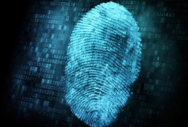 Civic's $1 Million Identity Fraud Protection