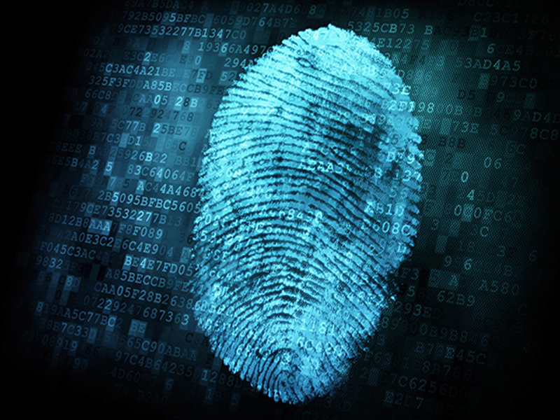 Civic&#39;s $1Million Identity Fraud Protection