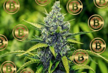 4 Ways to Buy Weed with Bitcoin, Legally