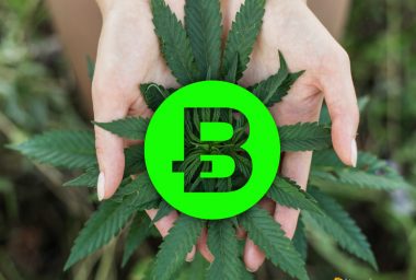 Denver Hosts 2nd Annual Crypto Cannabis Conference