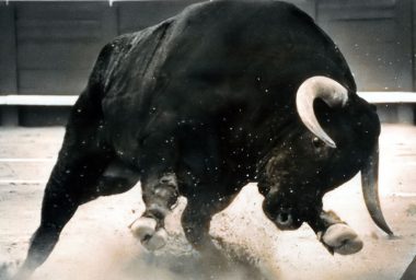 Bitcoin.com Price Watch: Bulls About to Charge?