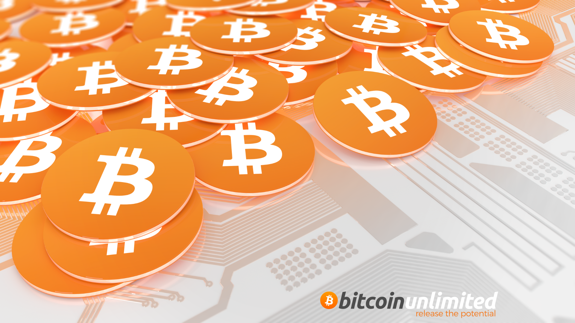 bitcoin unlimited price