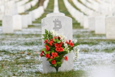 The Bitcoin Network Death That Never Happened (Again)