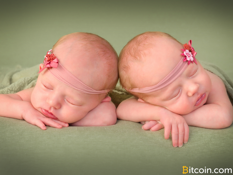 Don't Expect to See Kim Dotcom's Bitcoin Babies Until Later this Year