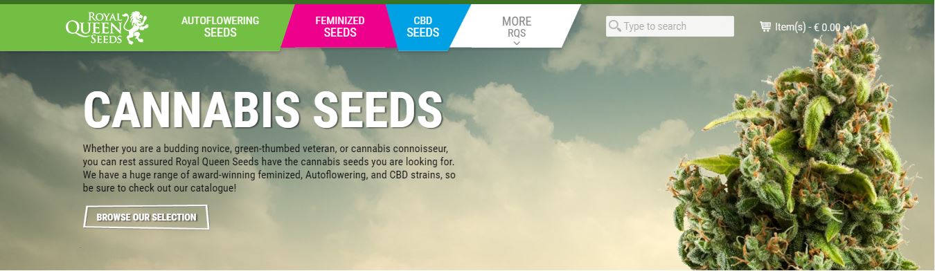 Global Cannabis Seed Banks Accept Bitcoin