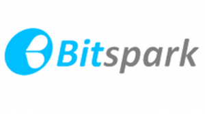 Bitspark Enters $20 Billion Pakistani Remittance Market