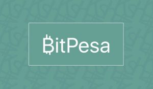 Bitpesa CEO Claims Bitcoin-Based Remittance Companies Have Reduced Costs by 75%