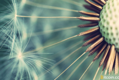 New Dandelion Proposal Aims to Anonymize Bitcoin Transaction Broadcasts