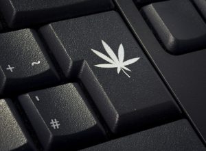 1 in 4 UK Drug Users Have Purchased Narcotics via Dark Web Marketplaces in the Last Year