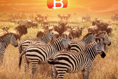 Bitcoin Experiences Rapid Growth and High Trading in Africa