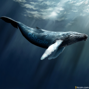 Bitcoin Whales And How They Make Market Waves Op Ed Bitcoin News