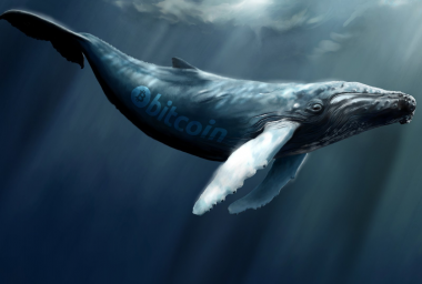 Bitcoin Whales and How They Make Market Waves