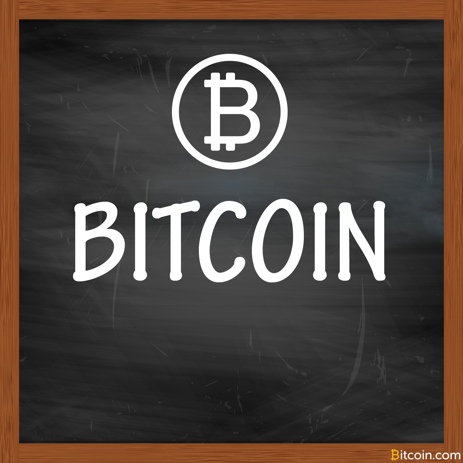 Education Initiatives Increase Bitcoin Adoption