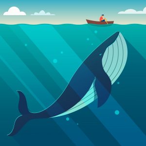 Possible Bitcoin Network Spam Attack is One User's Moby Dick