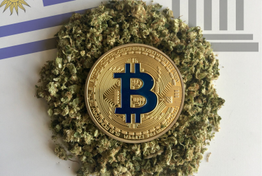 Uruguay Urged to Provide Services to Cannabusiness – Or Bitcoin Will