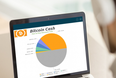 Bitcoin Cash Now Commands Over 20% of BTC's Total Hashrate