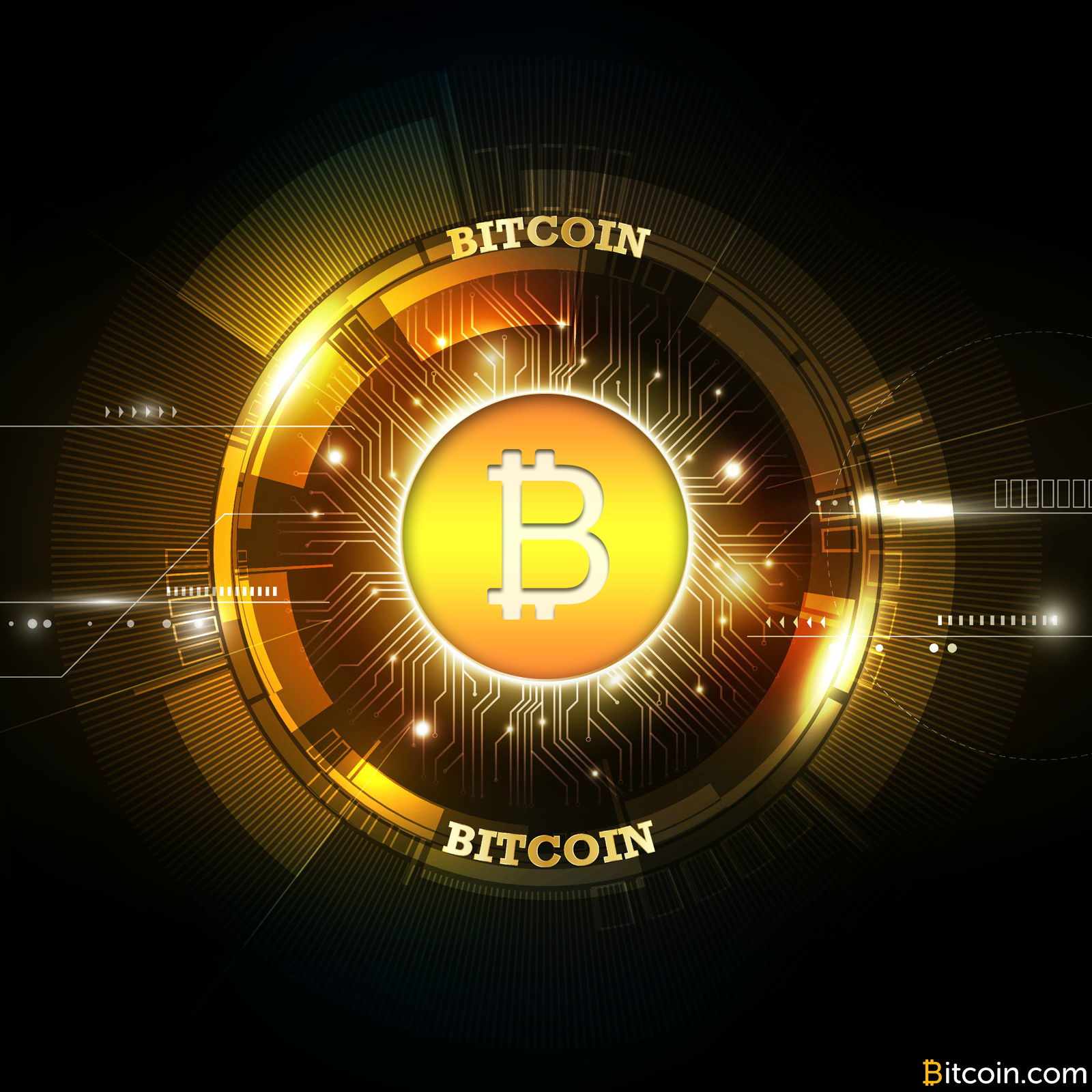 bitcoin cash blockchain