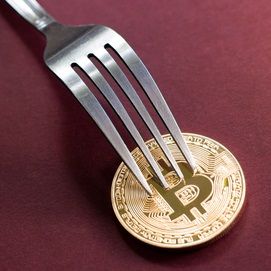 Fork Watch: Japanese Exchanges Embracing Bitcoin Cash Post-Fork