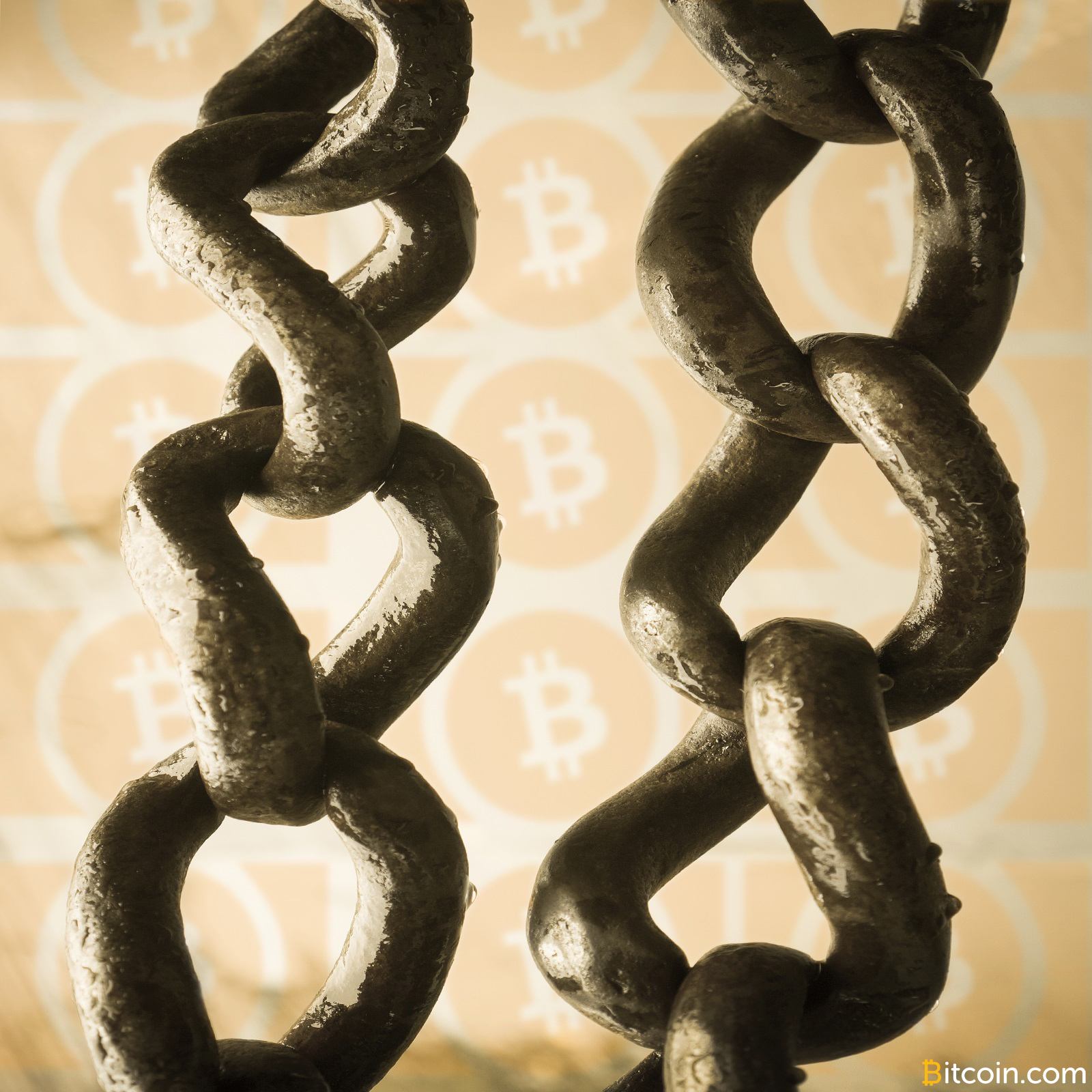 Bitcoin Cash Becomes the Longest Chain As Miners Toggle Between Profits