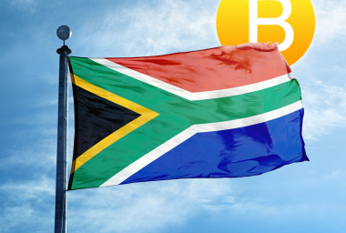 South African Officials Consider National Cryptocurrencies "Too Risky"