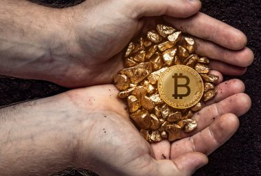 Another Fork? Bitcoin Gold Project Plans to Fork Bitcoin Next Month