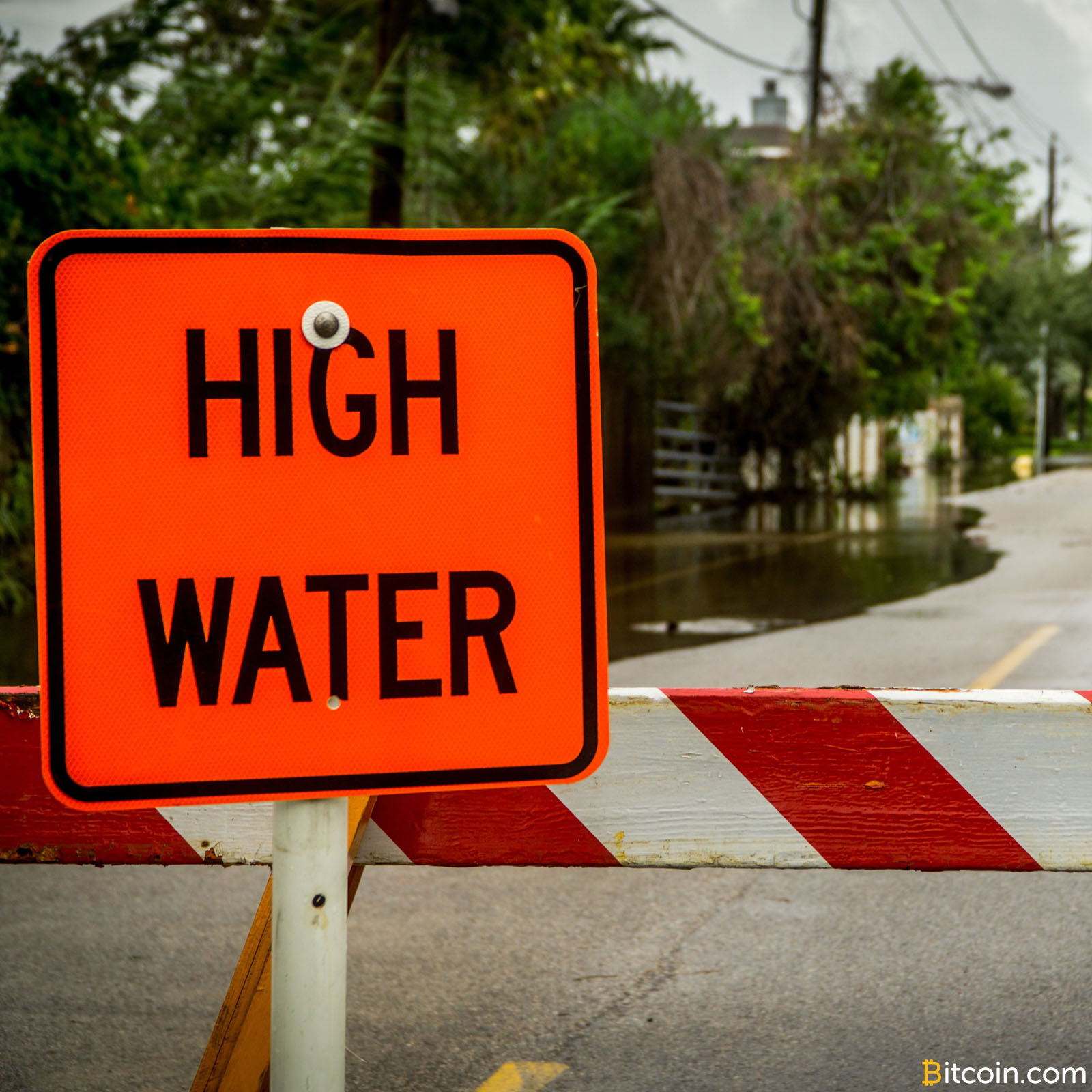 Calvin Ayre Asks Crypto Community For Hurricane Aid – Will Match Donations