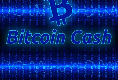 Lead Developer Amaury Séchet Discusses the Future of Bitcoin Cash
