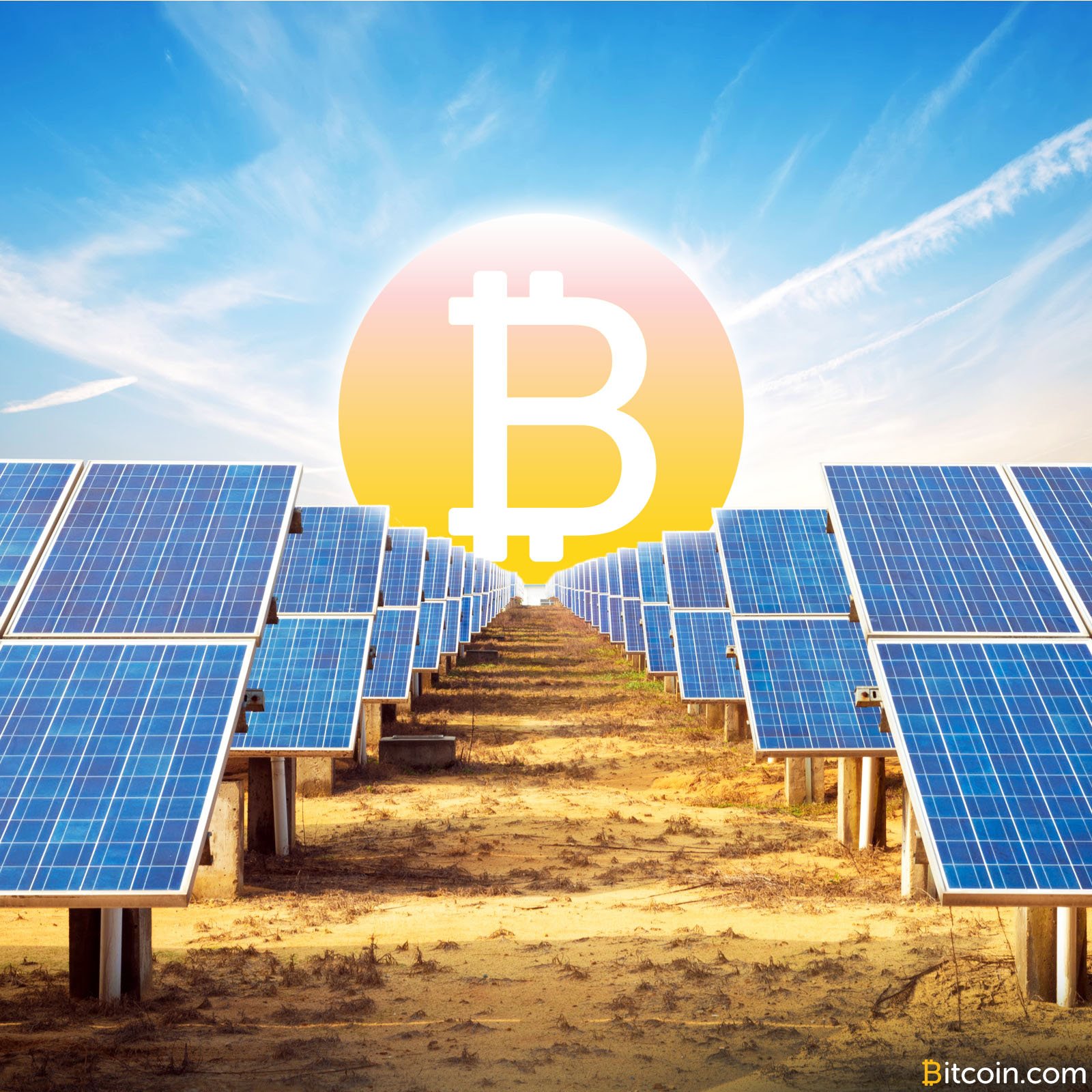 Sunex Lets Members Purchase Solar Cells and Distributes Profits as Bitcoin or Fiat