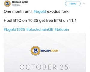 Another Fork? Bitcoin Gold Activity Plans to Angle Bitcoin Next Month