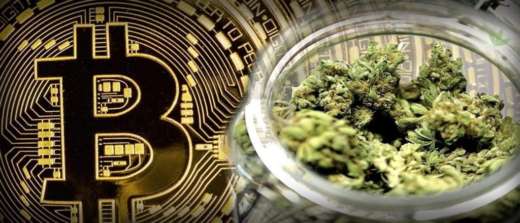 Zenapay Latest POS Bitcoin Solution to Enter Projected $50 Billion Cannabis Market