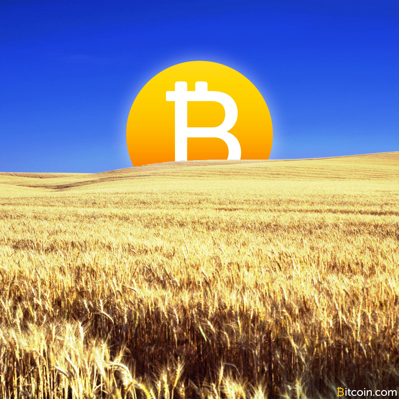 Kansas Governmental Ethics Commission Forbids Bitcoin Campaign Donations To Politicians