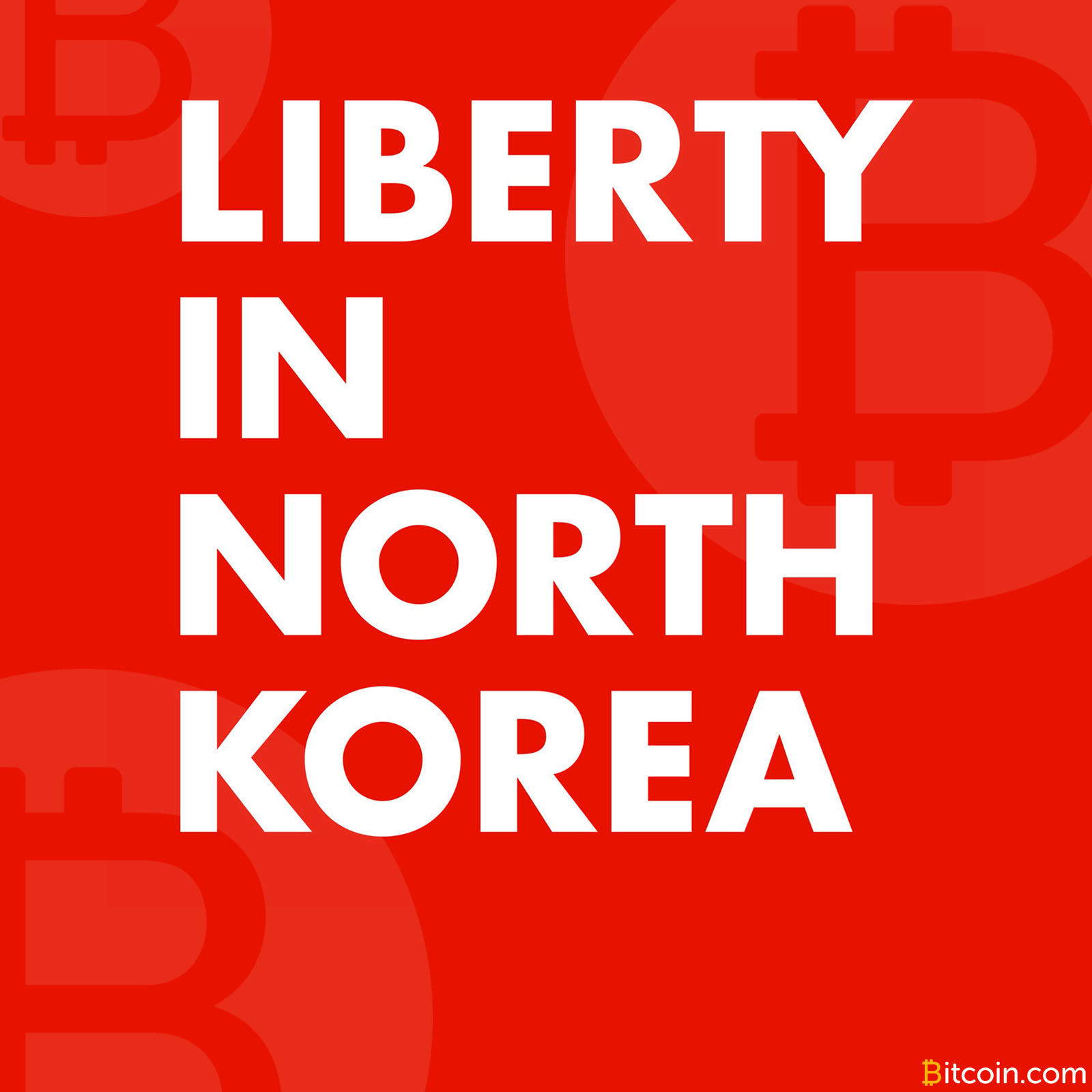 Liberty in North Korea: Bitcoin.com, /r/GoldAndBlack Team Up for Worthy Cause