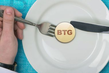 The Bitcoin Gold Project Responds to Negative Criticism