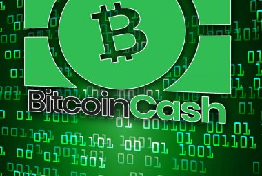 Bitcoin Cash Sees Significant Support and Adoption Over Four Months