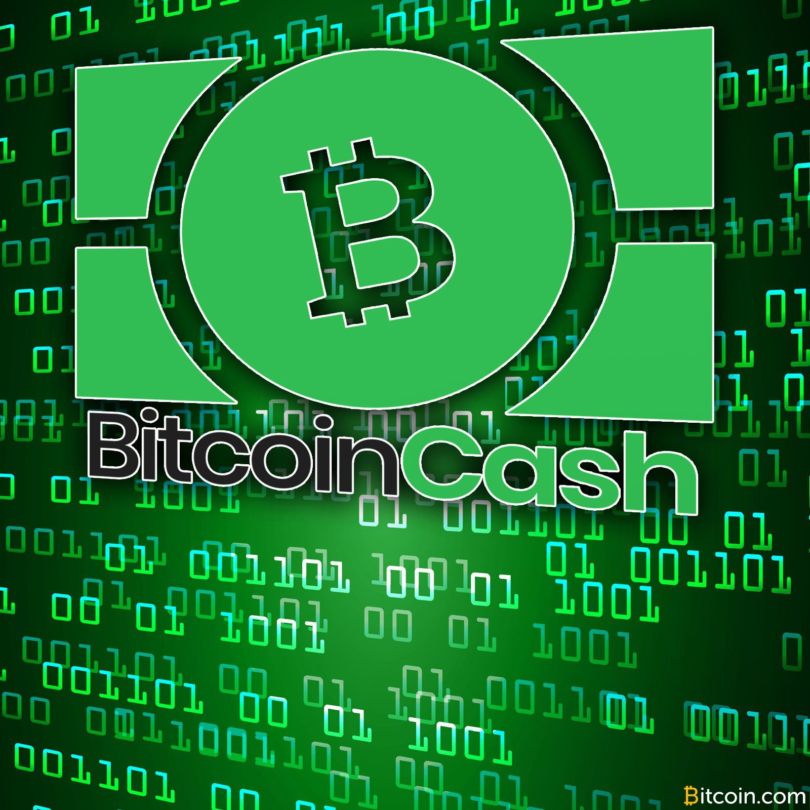 Bitcoin Cash Sees Significant Support and Adoption Over Four Months