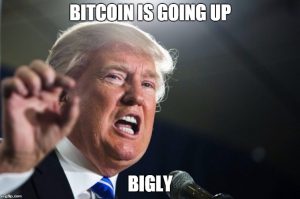 Trump's Federal Reserve Nominee: Cryptos "Don't Really Matter Today ...