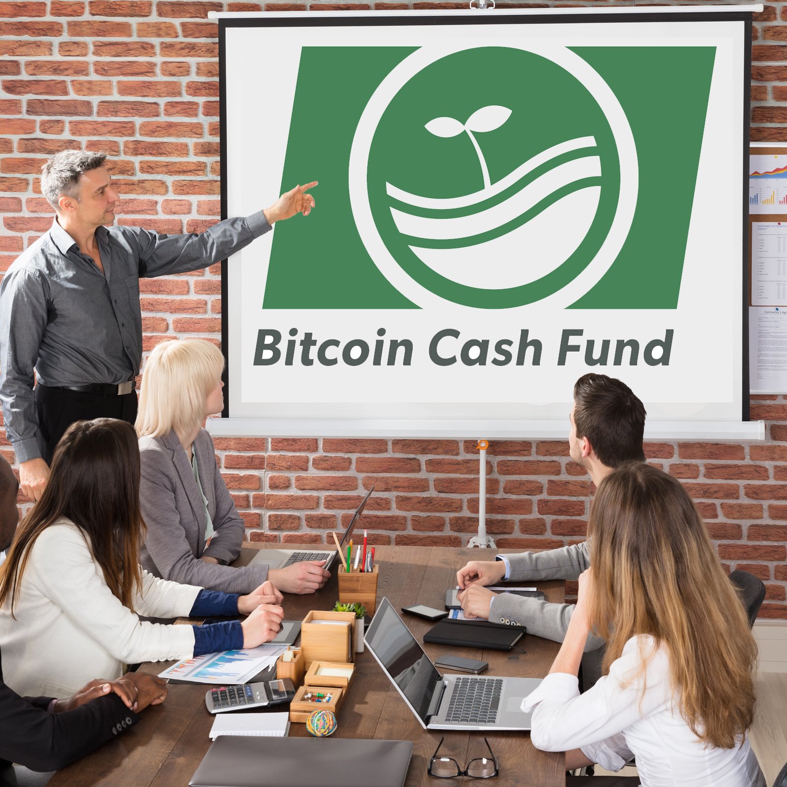 Bitcoin Cash Community Creates Grassroots Funding Initiative