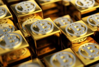 Bitcoin Gold Addresses 'Scam' Wallet and Premine Endowment Process